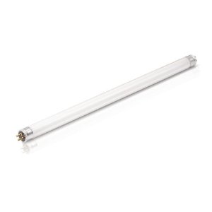 Fluorescent Bulb