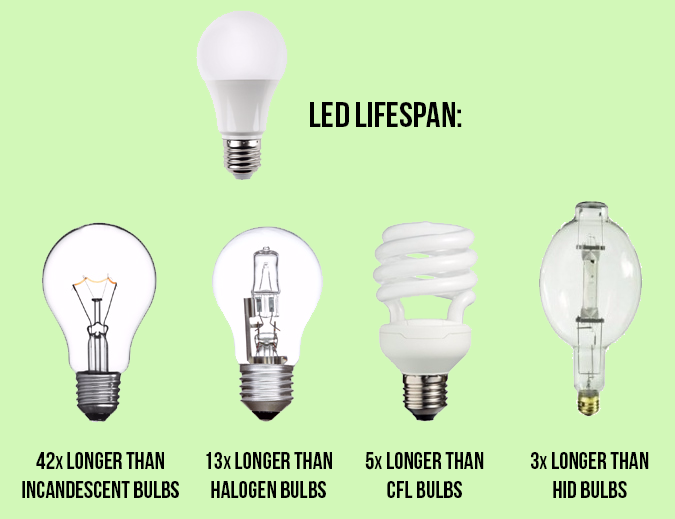 Average Lifespan Of Led Light Bulb - lenapedesign