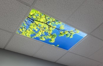 Decorative Ceiling Light Panels | Commercial Interior Lighting | Super