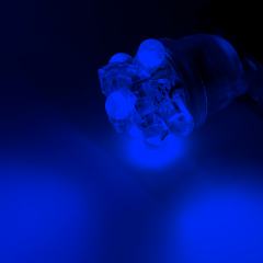 194 LED Landscape Light Bulb - 5 LED - Miniature Wedge Retrofit - 30 Lumens - Blue