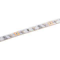 5m Single Color LED Strip Light - Eco Series Tape Light - 12V/24V - IP54 Weatherproof