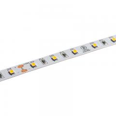 Custom Length Single Color LED Strip Light - Highlight Series Tape Light - High-CRI - 24V - IP20