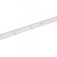 36V White LED Strip Light - High CRI - HighLight Series Tape Light - IP67 - 5m / 30m