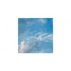 Skylens™ Fluorescent Light Diffuser - Summer Sky Decorative Light Cover - 2' x 2'