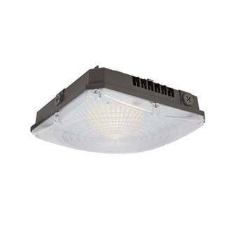 Click to browse Canopy Lights options
