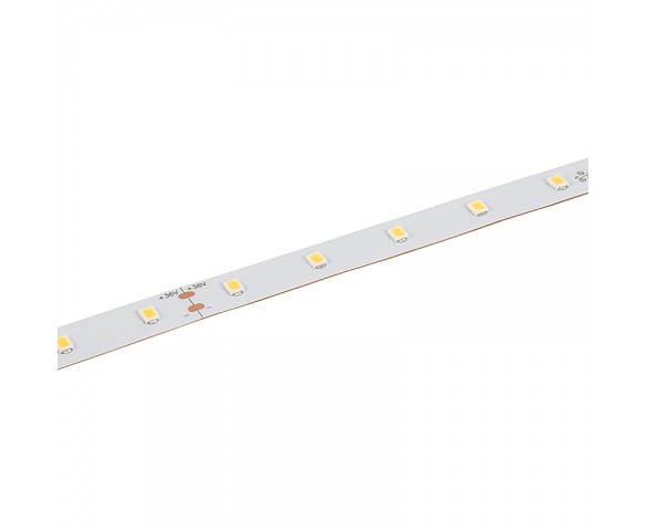 White LED Strip Light - HighLight Series Tape Light - High CRI - 36V - IP20