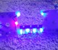 5mm Blue LED (360 degree): Shown Installed On Circuit Board. (Customer Photo). 