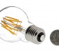 LED Vintage Light Bulb - A19 LED Globe Bulb w/ Filament LED - 6W: Back View With Size Comparison