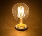LED Vintage Light Bulb - A19 LED Globe Bulb w/ Filament LED - 6W: Turned On