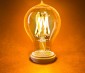 LED Filament Bulb - Gold Tint Victorian Style A19 LED Bulb with 7 Watt Filament LED - Dimmable: Turned On