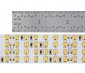 Bright LED Strip Lights - Quad Row LED Tape Light with 137 SMDs/ft. - 1 Chip SMD LED 2835: Close Up View of LED Segment. 2.3 Inches Long