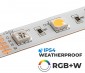 5m RGB+W LED Strip Light - Color-Changing LED Tape Light - 12V/24V - IP54 Weatherproof