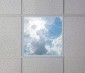 Even-Glow LED Panel Light - Sun Beams LUXART Print - Dimmable - 2' x 2': Installed in Drop Ceiling