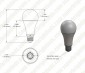 A19 Wi-Fi Smart LED Bulb - RGBW - 10W - Alexa/Google Assistant/Smartphone Compatible - 60W Equivalent