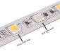 5050 RGB+W LED Strip Light - Color-Changing LED Tape Light w/ White and Multicolor LEDs - 12V - IP20 - 204 lm/ft