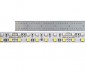 Dual Row LED Strip Lights with White and Multicolor LEDs - LED Tape Light with 36 SMDs/ft. - 3 Chip RGBW LED 5050: Close-Up