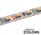 5m Single Color LED Strip Light - Eco™ Series Tape Light - 12V/24V - IP20
