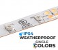 5m Single Color LED Strip Light - Eco™ Series Tape Light - 12V/24V - IP54 Weatherproof