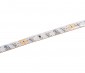 5m Single Color Weatherproof LED Strip Light - Eco Series Tape Light - IP64 - 12V/24V