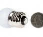 G11 LED Bulb - 8 SMD LED Globe Bulb: Back View
