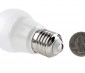 A15 LED Bulb - 50 Watt Equivalent - 12V DC: Back View with Size Comparison