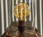 G30/G95 LED Fairy Light Bulbs - 48 Lumens: Fairy Light Bulb Inside Dome Jar
