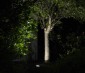 Dimmable LED In-Ground Well Light - 15 Watt Equivalent - 160 Lumens: Illuminating Through tree