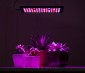 10W Full-Spectrum LED Grow Light - 4-Band Red/Blue/UV/IR for Indoor Plant Growth