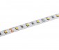 2835 Single-Color High-CRI LED Strip Light - Custom Length Tape Light - 24V - IP20 - 265 lm/ft