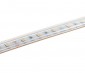 5m White LED Strip Light - HighLight™ Series Tape Light - 12/24V - IP67 Waterproof