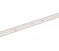 36V White LED Strip Light - High CRI - HighLight Series Tape Light - IP67 - 5M / 30M