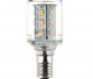 Candelabra LED Bulb, 21 High Power LEDs