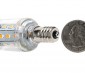 Candelabra LED Bulb, 21 High Power LEDs: Back View with Size Comparison 