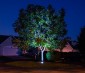 G-LUX series 8 Watt LED Up Light - Plug and Play: Installed Below Tree