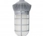 LED Vapor Proof Jelly Jar Light Fixture - Caged Pendant Mount Light - __ Lumens