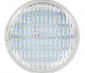 Weatherproof PAR36 LED Bulb - 70 Watt Equivalent - Bi-Pin LED Flood Light Bulb: Front View. 