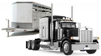 Commercial Truck and Trailer